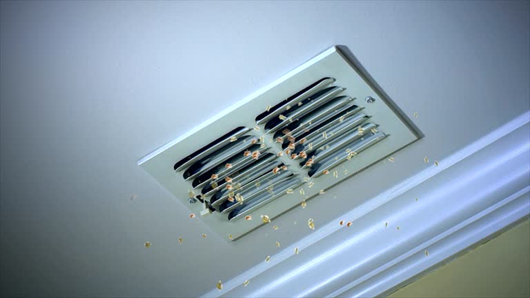 Best Emergency Air Duct Cleaning  in Wayne City, IL
