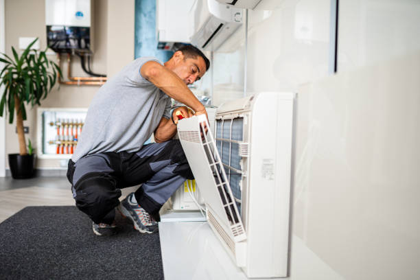 Best Professional Duct Cleaning Services  in Wayne City, IL