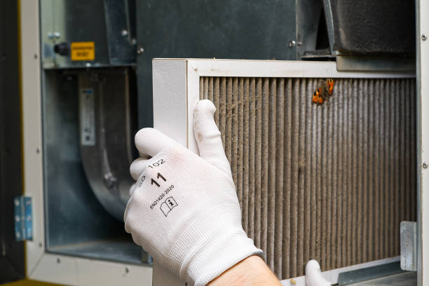 Best Air Duct Cleaning Near Me  in Wayne City, IL