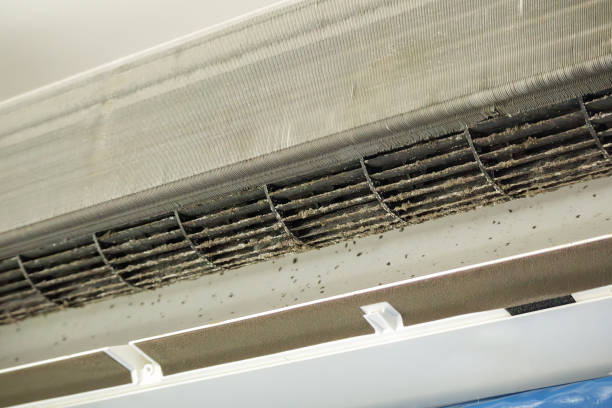 Best Air Duct Cleaning Near Me  in Wayne City, IL