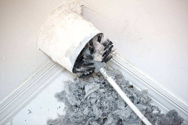 Best Professional Duct Cleaning Services  in Wayne City, IL